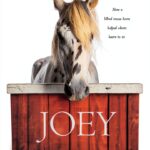 Christian Institutions Illustrated eBook by Tyndale Momentum Horse-0