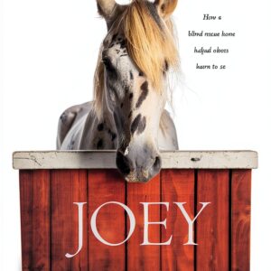 Christian Institutions Illustrated eBook by Tyndale Momentum Horse-0