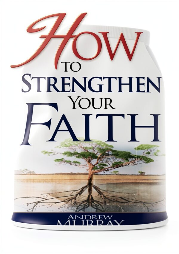 Christian Faith Kindle eBook by Whitaker House Accessible Edition-0